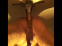 Wall shit fuck taped dildo